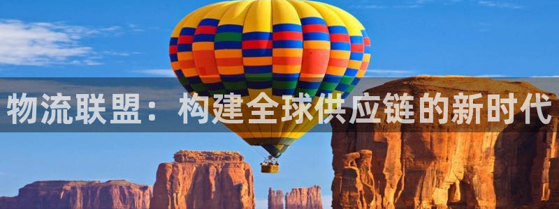 豪门国际软件是什么：物流联盟：构建全
