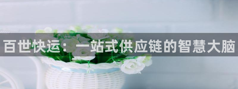 豪门国际官网入口pc28：百世快运：