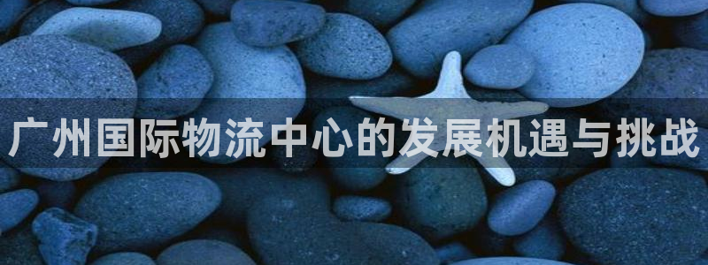 豪门国际充值不处理怎么办：广州国际物