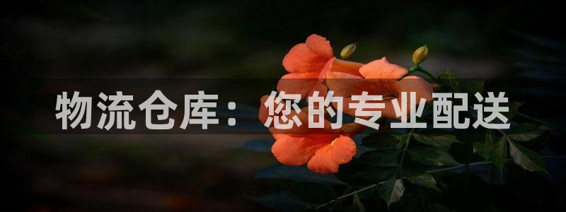 豪门国际忘记账号：物流仓库：您的专业