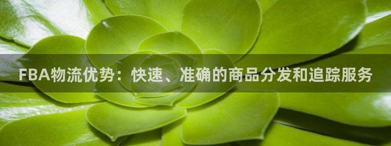 豪门国际官网平台