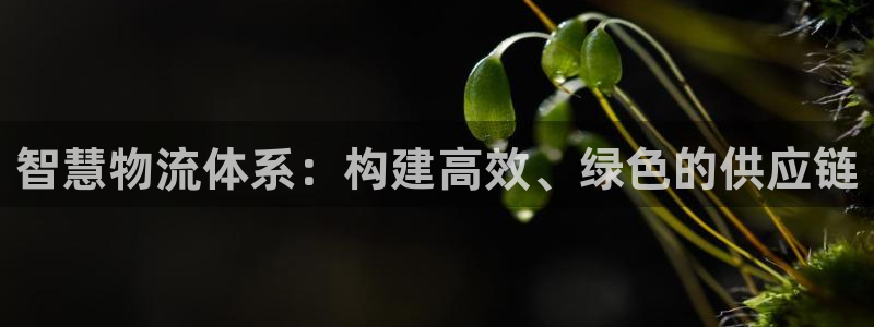 豪门国际注册网页：智慧物流体系：构建