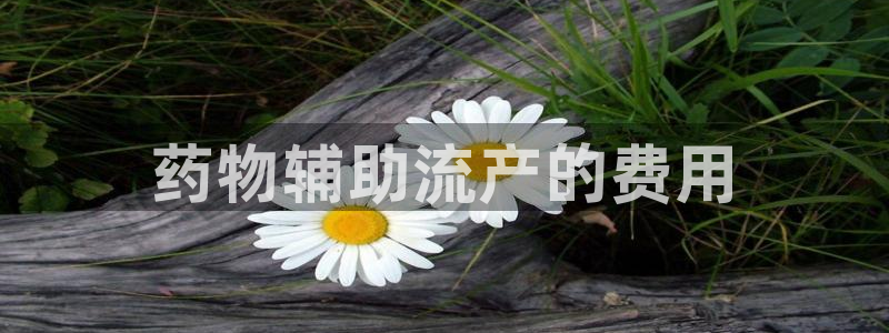 豪门国际注册网址：药物辅助流产的费用