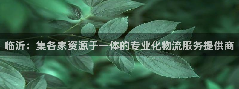 豪门国际充值不到账怎么办：临沂：集各家资源于一体的专业化物流