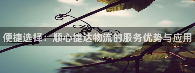 豪门国际正规吗：便捷选择：顺心捷达物