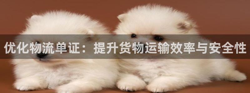 豪门国际加拿大下载：优化物流单证：提