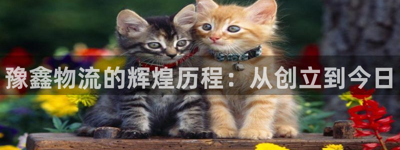 豪门国际官网平台：豫鑫物流的辉煌历程