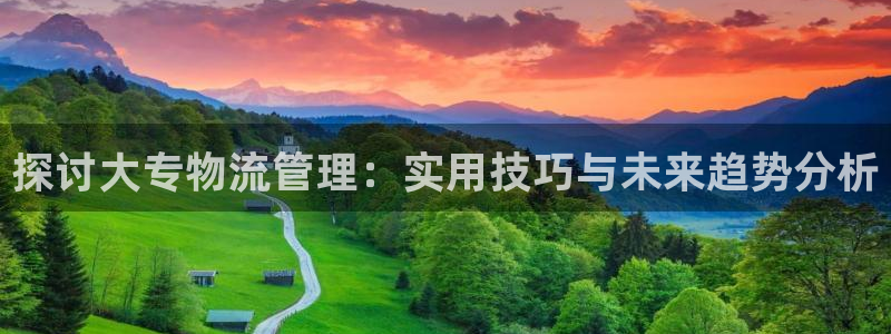 豪门国际连输10天：探讨大专物流管理：实用技巧与未来趋势分析