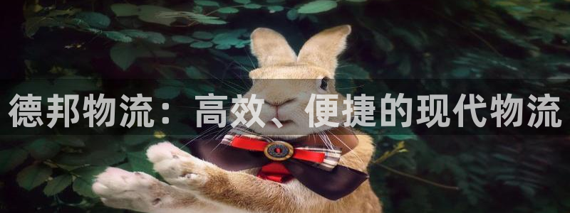 豪门国际注册链接：德邦物流：高效、便