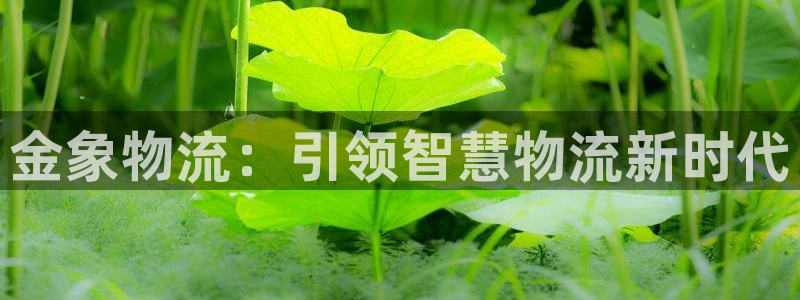 豪门国际官方：金象物流：引领智慧物流