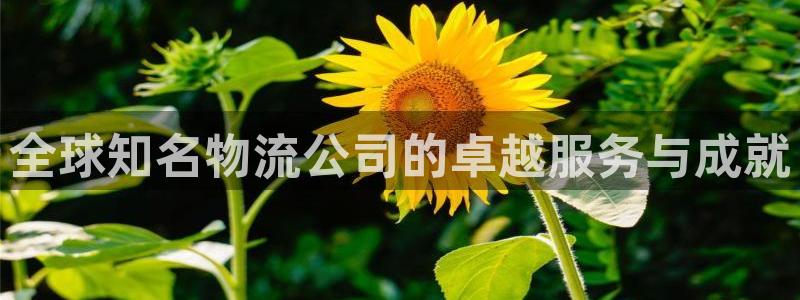 豪门国际起来的符号：全球知名物流公司