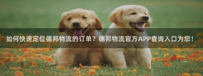 豪门国际能不能退：如何快速定位德邦物