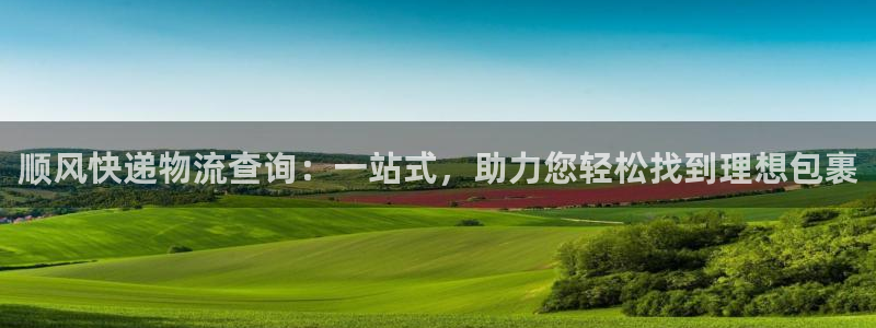 豪门国际怎么下载：顺风快递物流查询：