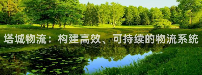 豪门国际官方版网站：塔城物流：构建高