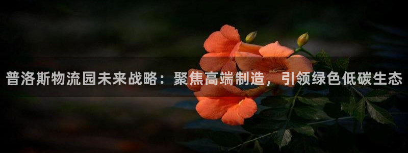 豪门国际犯法吗：普洛斯物流园未来战略