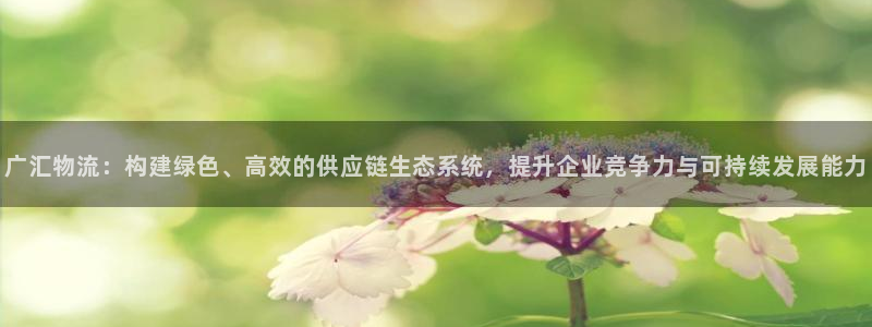 豪门国际app能退款吗：广汇物流：构
