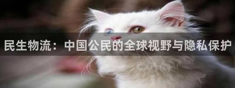豪门国际圈助手：民生物流：中国公民的