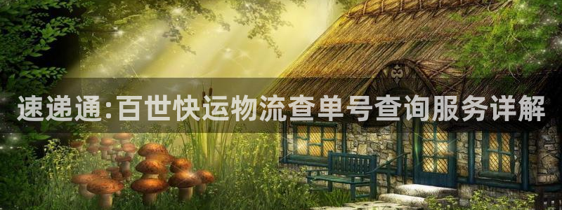 豪门国际注册链接入口：速递通:百世快